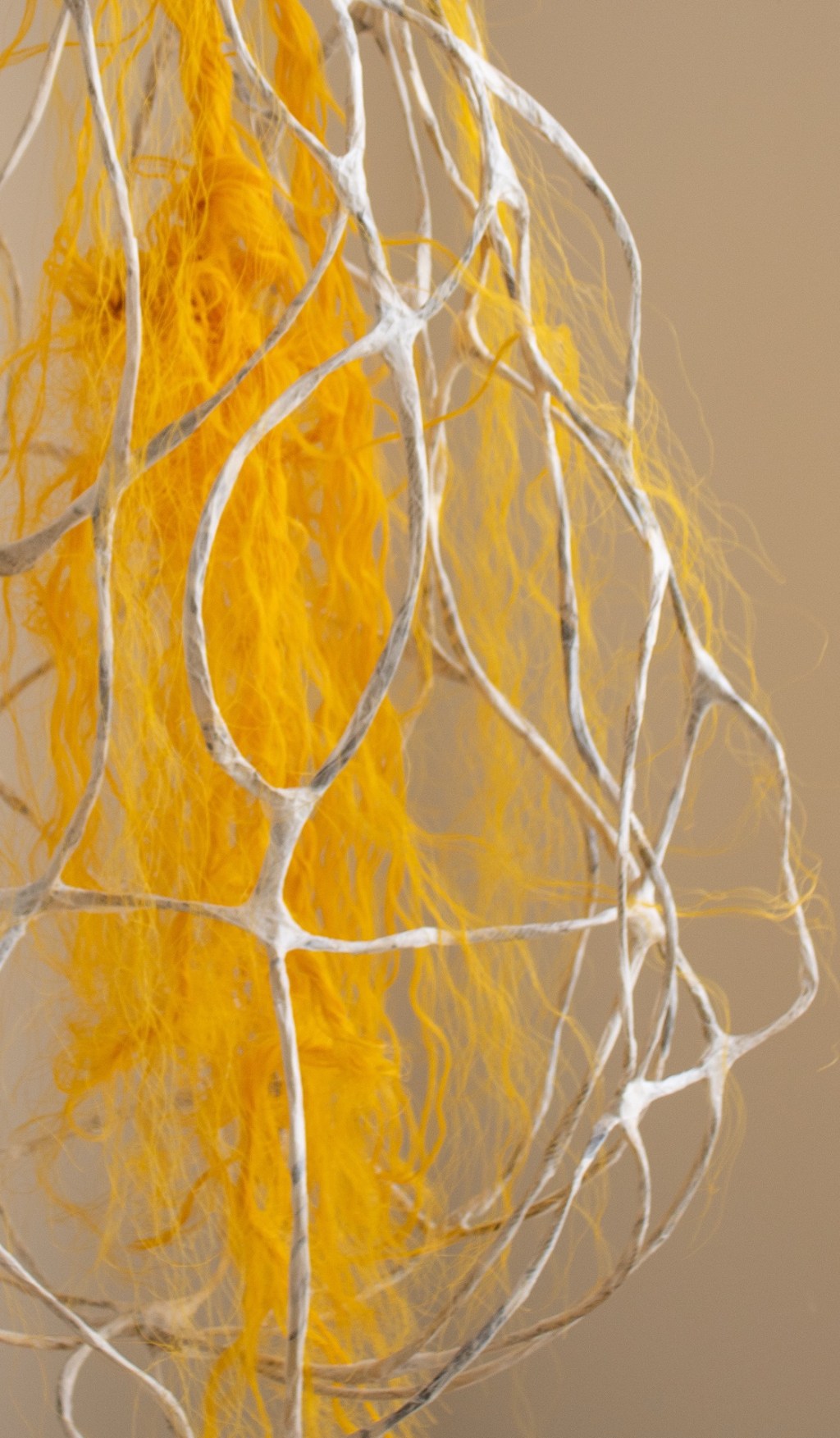 Fire in the&nbsp;Belly